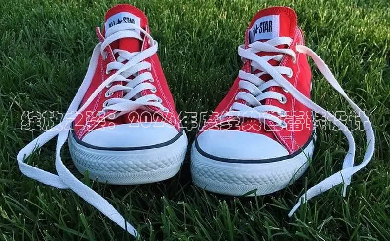 绽放之姿：2026年度经典芭蕾鞋设计